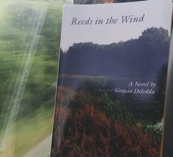 Reeds in the Wind by Grazia Deledda – Stuck in a Book